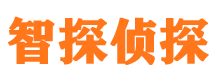 红花岗侦探